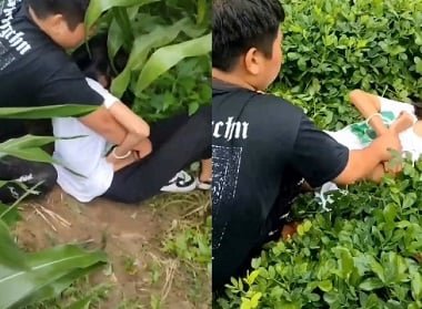 Hãm hiếp cô gái một mình ngoài cánh đồng